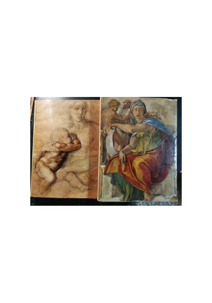 MICHELANGELO Artista Pensatore Scrittore 1965 2 volumi in cofanetto libro usato