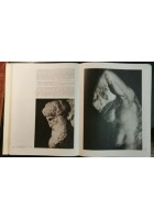 MICHELANGELO Artista Pensatore Scrittore 1965 2 volumi in cofanetto libro usato