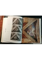 MICHELANGELO Artista Pensatore Scrittore 1965 2 volumi in cofanetto libro usato