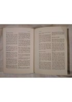 GUIDA DELLA PREISTORIA ITALIANA di Antonio Radmilli 1978 Sansoni Orientamenti