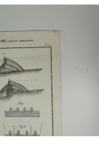 ARCHITETTURA MILITARE CAVALIERI DEMOLIZIONE Incisione Stampa 1866 Tavola antica