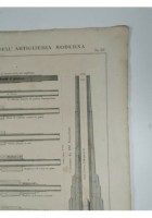I MOSTRI DELL'ARTIGLIERIA MODERNA Incisione Stampa Rame 1866 Tavola Originale
