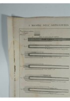 I MOSTRI DELL'ARTIGLIERIA MODERNA Incisione Stampa Rame 1866 Tavola Originale