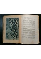 LA MARCIA SU GONDAR di Achille Starace 1937 Mondadori Africa orientale Etiopia