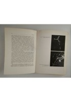 FISICA E MICROFISICA di Louis De Broglie 1950 Einaudi Biblioteca scientifica
