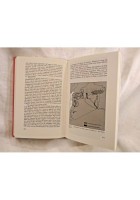 EBLA di Giovanni Pettinato 1986 Rusconi nuovi orizzonti della storia libro su