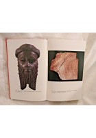 EBLA di Giovanni Pettinato 1986 Rusconi nuovi orizzonti della storia libro su