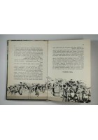 LA TRAPPOLA DI GHIACCIO di Walt Disney 1962 libro illustrato per ragazzi colori