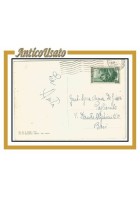 Cartolina Pioltello Monumento ai caduti Viaggiata lucida postcard carte postale