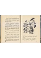 CESCHETTO FIGLIO DELLA MONTAGNA di Carmela Ronchi 1954 libro illustrato ragazzi