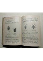 OLIVICOLTURA E INDUSTRIA MODERNA DELL’OLIO DI OLIVA di Simari Hoepli 1912 libro