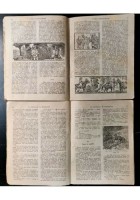 BIBLIOTECA DELL'ILLUSTRAZIONE DEI PICCOLI primi 9 numeri giornale ragazzi antico
