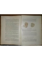 TRATTATO DI FISIOLOGIA DELL'UOMO VOLUME I di Roberto Tigerstedt 1934 UTET libro