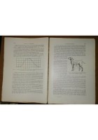 TRATTATO DI FISIOLOGIA DELL'UOMO VOLUME I di Roberto Tigerstedt 1934 UTET libro