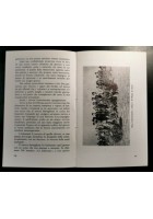 LE MIE OFFERTE di Domenico Palladino 1967 libro ricordi I guerra libraio mondiale Bari