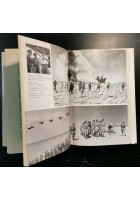 L'ARMATA NEL DESERTO il segreto di El Alamein di Arrigo Petacco 2001 Mondadori