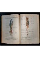 LA DIAGNOSI CLINICA DELLE MALATTIE INTERNE di Luigi Ferrio 4 Volumi 1932 libri