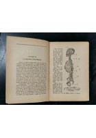 I SERVITORI DELLO STOMACO di G Macè 1930 La Nuova Italia libro medicina