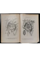 LA PRATIQUE CHIRURGICALE ILLUSTREE 1938 chirurgia medicina libro illustrato