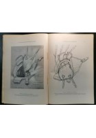 LA PRATIQUE CHIRURGICALE ILLUSTREE 1938 chirurgia medicina libro illustrato