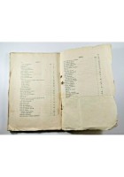 GUIDA DI POMPEI con PIANTA TOPOGRAFICA scavi 1869 Napoli libro carta antico