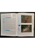 UCCELLI D'ITALIA di Brichetti Cagnalaro Spina 1986 Giunti libro byrd watching