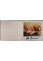 AUGUSTO MURER CATALOGO MOSTRA ANTOLOGICA DI FALCADE 1972 Nuovi Sentieri Libro