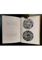 LE ROCCE concetti e nozioni di petrografia Artini 1945 Hoepli libro petrografia