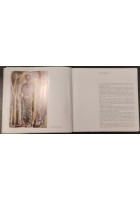 AUGUSTO MURER CATALOGO MOSTRA ANTOLOGICA DI FALCADE 1972 Nuovi Sentieri Libro