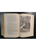 IL BEL GALAOR LA SECONDA GIOVENTU' DI RE ENRICO Ponson du Terrail 3 libri 1911