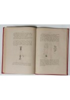 NOZIONI ELEMENTARI DI ELETTRICITA' MAGNETISMO e MECCANICA ELEMENTARE 1885 libri