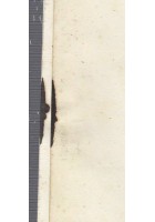 CENNO PER LE OPERE PUBBLICHE Acerenza di Pietro Paolo Glinni 1852 libro antico