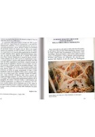 IL CASALE DI SAN MICHELE Sammichele di Bari  a cura Vito Spinelli Libro storia