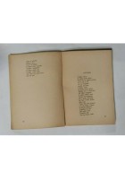 L'INCENDIARIO 1905 1909 di Aldo Palazzeschi edizioni futuriste di poesia 1913 II