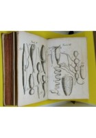 OSSERVAZIONI DI FRANCESCO REDI INTORNO AGLI ANIMALI VIVENTI 1687 libro antico