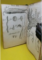 OSSERVAZIONI DI FRANCESCO REDI INTORNO AGLI ANIMALI VIVENTI 1687 libro antico