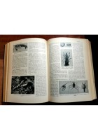 GLI ANIMALI E LA LORO VITA volume I di Leon Bertin 1958 De Agostini libro
