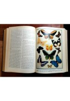 GLI ANIMALI E LA LORO VITA volume I di Leon Bertin 1958 De Agostini libro