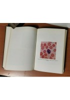 STORIA DELLA SCIENZA CONTEMPORANEA vol 3 tomo 2 1984 Lucarini Libro LA MEDICINA