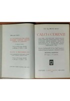 CALCI E CEMENTI di Bruno Bolis 1961 Hoepli libro manuale nozioni fondamentali