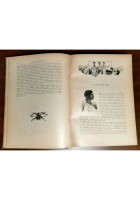 AFRICA 2 Volumi di Attilio Brunialti 1913? Vallardi libri antichi illustrati
