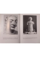STORIA DEGLI ETRUSCHI di Mario Torelli 1981 Laterza Libro Grandi Opere archeolog