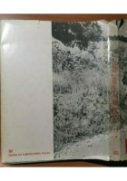 L’ULTIMA ITALIA di Italo de Feo 1967 ERI editore libro