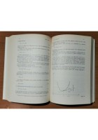 MATEMATICA GENERALE di Angelo Guerraggio 1993 Bollati Boringhieri libro usato