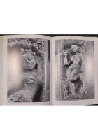 IL CULTO DELLA DONNA  NELLA TRADIZIONE INDIANA di A Schwarz 1983 Laterza Libro