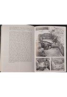 I TESORI DI EBLA di Paolo Matthiae 1985 Laterza Libro illustrato grandi opere