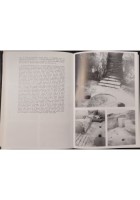 I TESORI DI EBLA di Paolo Matthiae 1985 Laterza Libro illustrato grandi opere