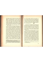 ITALIA CIVILE di Norberto Bobbio 1964 Lacaita Libro ritratti e testimonianze