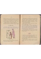 RAMI IN FIORE di Giacomo Veniali 1925 Libro Scolastico 2 Classe Elementare