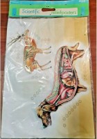 POSTER A RILIEVO Scientific Relief Poster Vintage CANE scolastico Nova Rico old